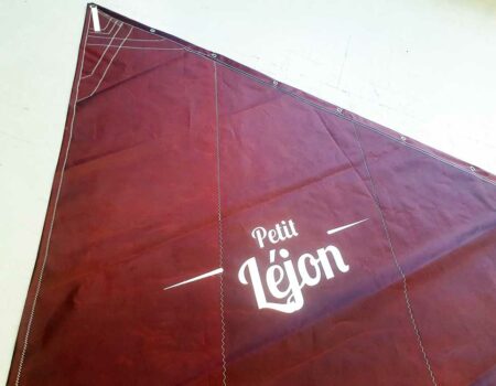 Logo petit Léjon